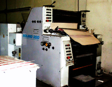 Roland 202